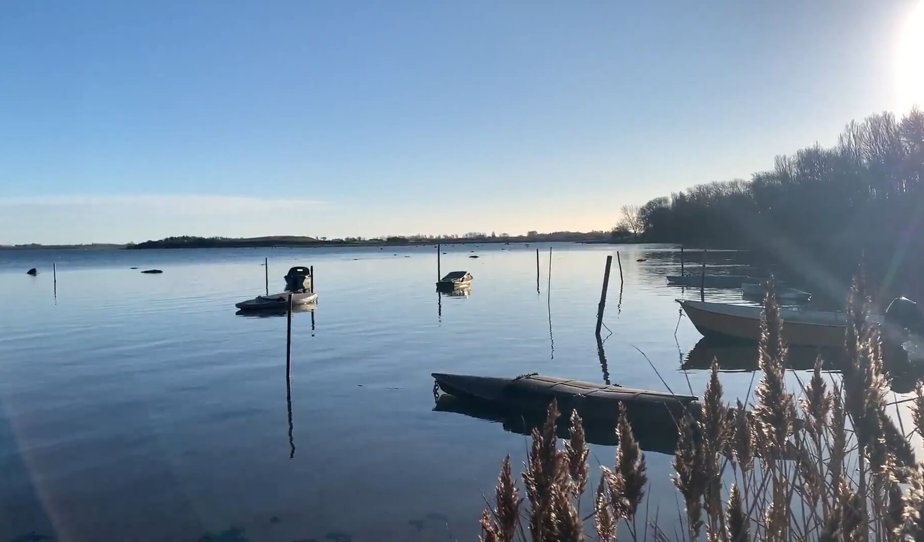 Stavns Fjord set fra Stauns — det lave vand og fjordens holme